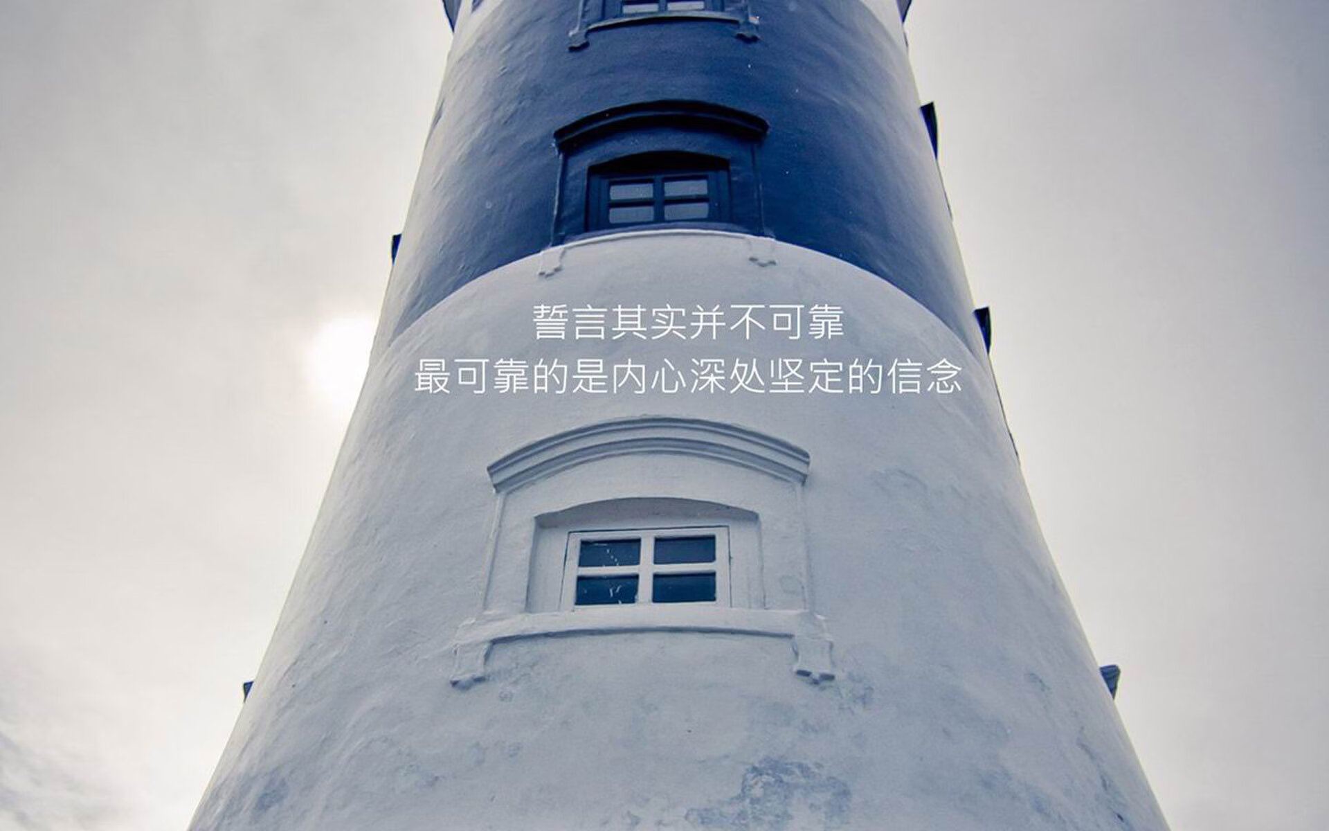 _猛龙队内线强硬，面对对手毫不退缩_，猛龙队员