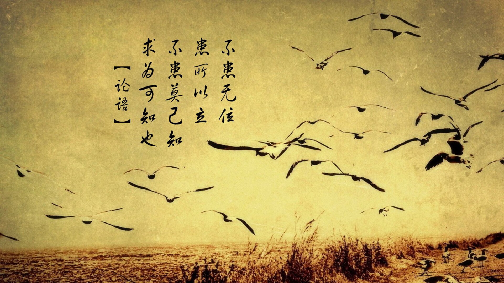 “西甲焦点：领头羊连续保持不败金身”，领头羊指标详细介绍