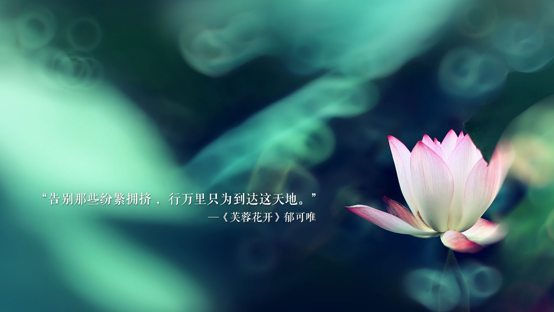 中国青少年足球“领跑者”项目全面启动，推动行业创新发展，中国青少年足球队名单