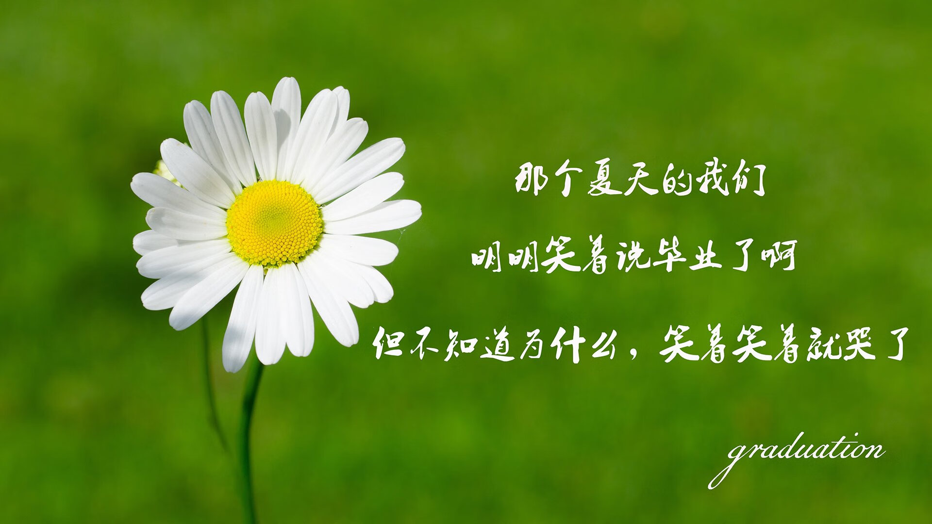 九游用户空间-西班牙女足在世界杯决赛中1-0击败英格兰夺冠，西班牙 女足
