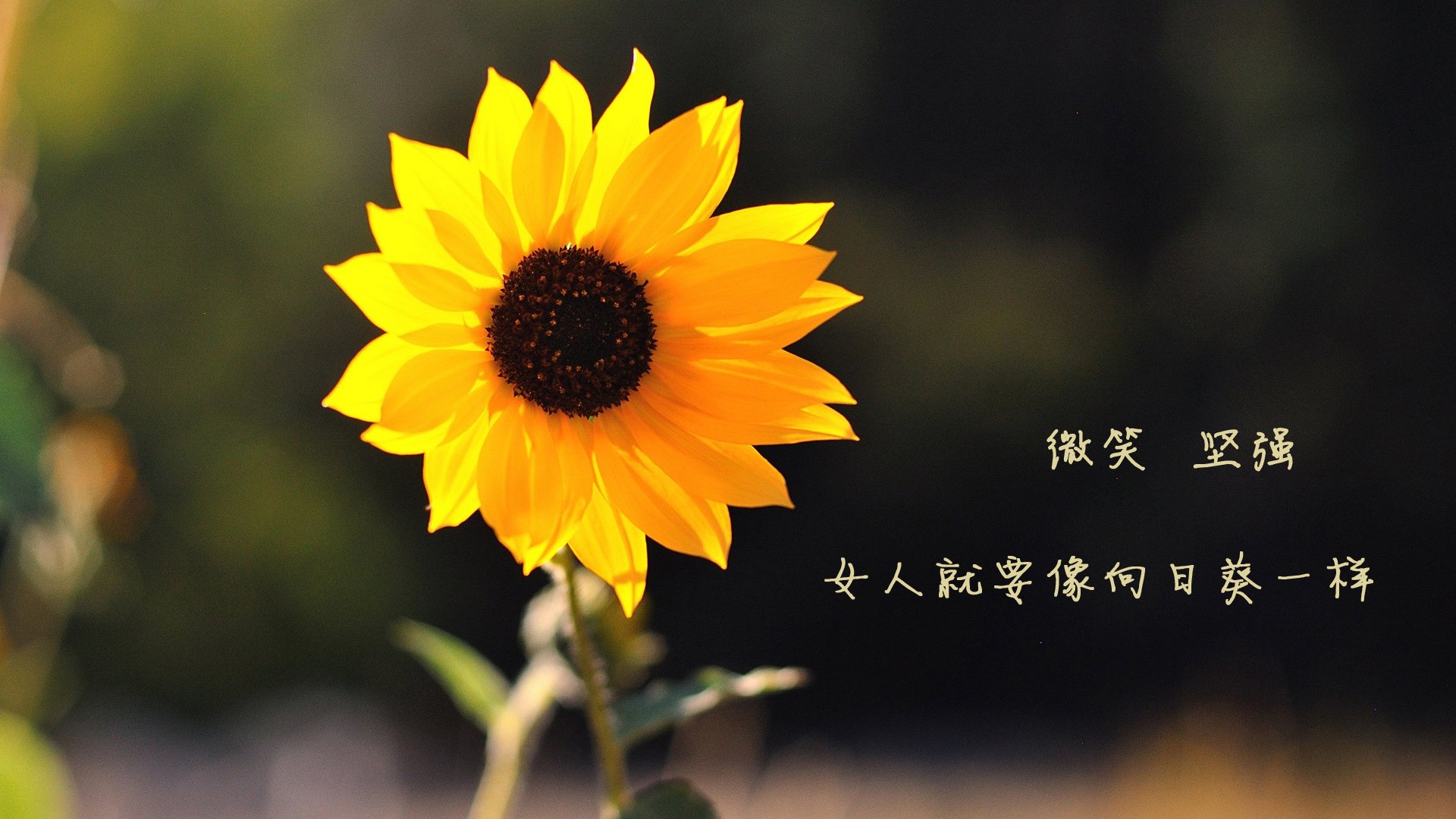 九游app下载中心-马赛客场逼平摩纳哥，继续保持不败记录，摩纳哥vs马赛比分预测