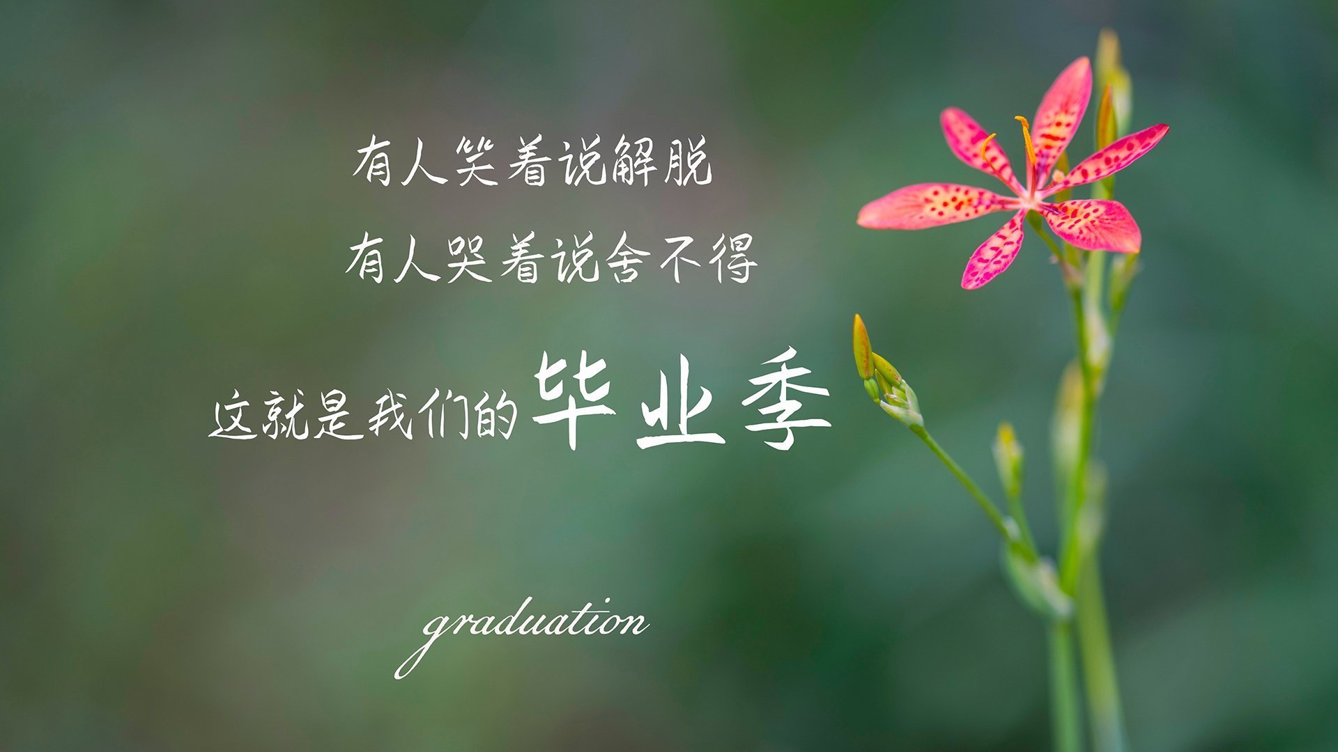 NBA球队快攻战术执行力与得分效率分析,nba快攻速度排名