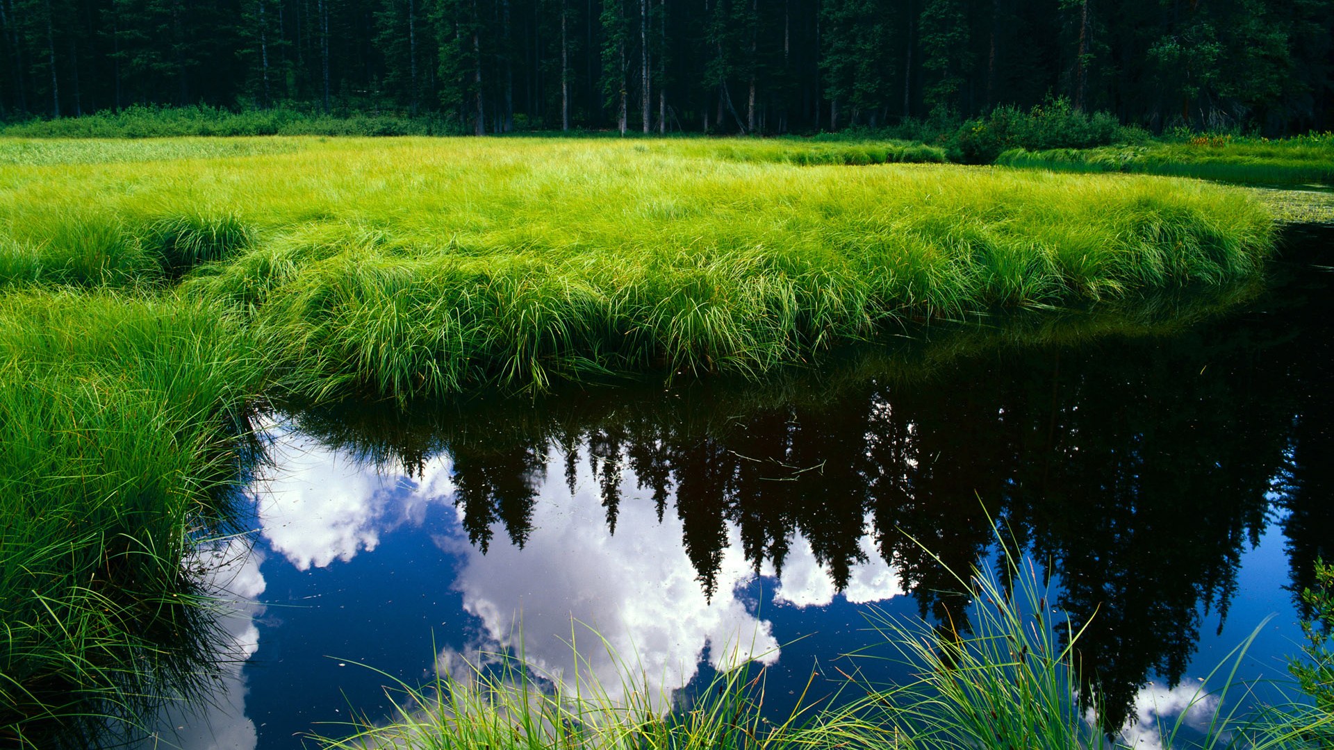 中国足球技术统计核心维度归类,足球技术统计解读