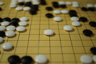 九游网页版官网-世界围棋赛青年选手战术成熟引热议，2020世界围棋