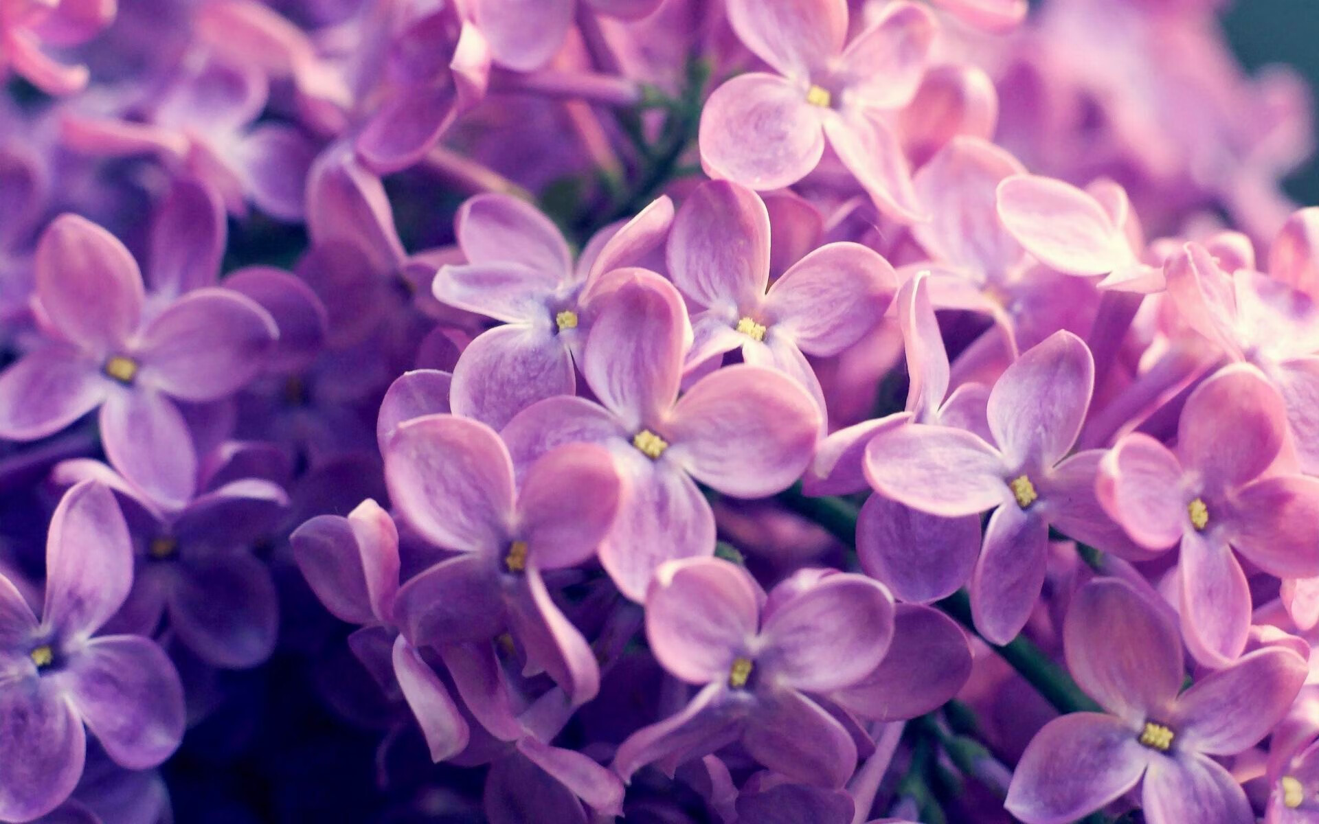 亚冠联赛中国青年队晋级 球迷高度评价团队合作,2021亚冠 青年队