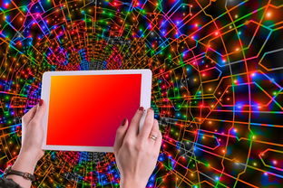 九游网-体育新闻中心主办体育类数字创作者发展研讨会，体育产业数字化创新