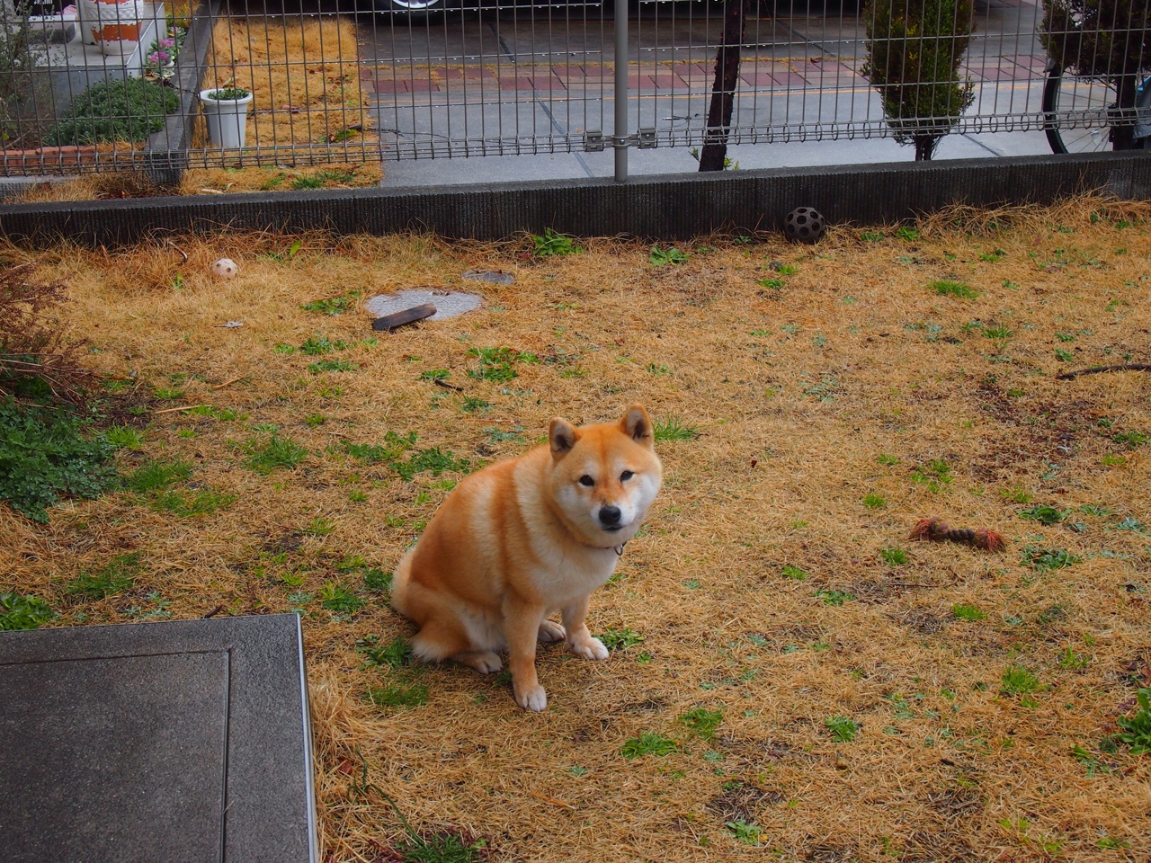 女子100仰美将再创佳绩,女子100仰泳